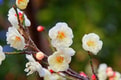 Feature Image Blog